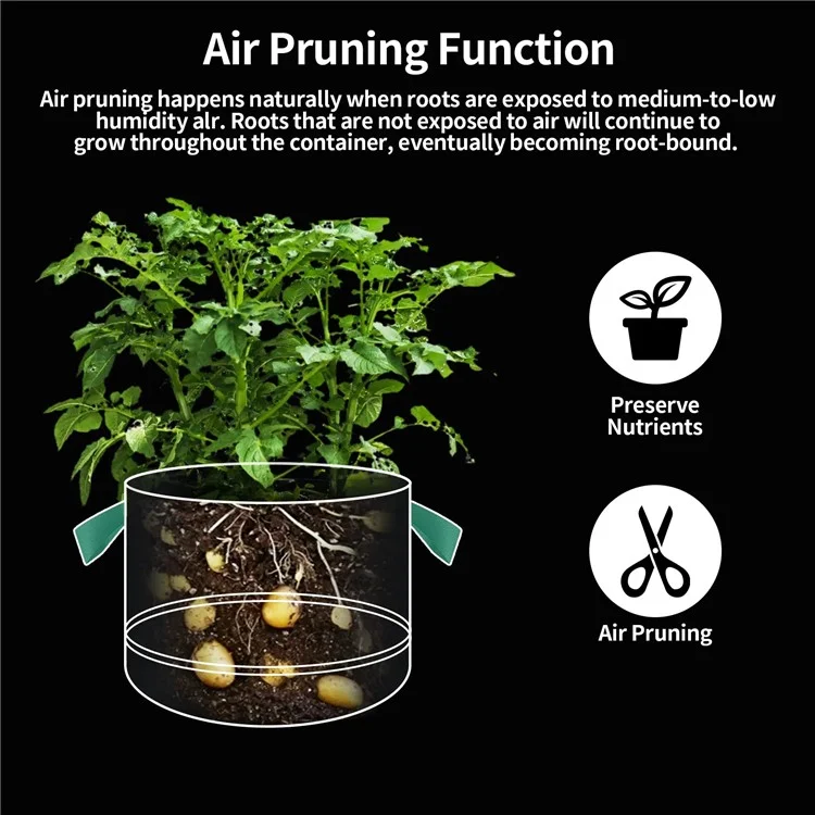 10 Peças de Sacos de Plantio de Feltro para Interiores e Exteriores de 40x30cm, Recipientes de Cultivo de 10 Galões com Alças Duplas - Preto