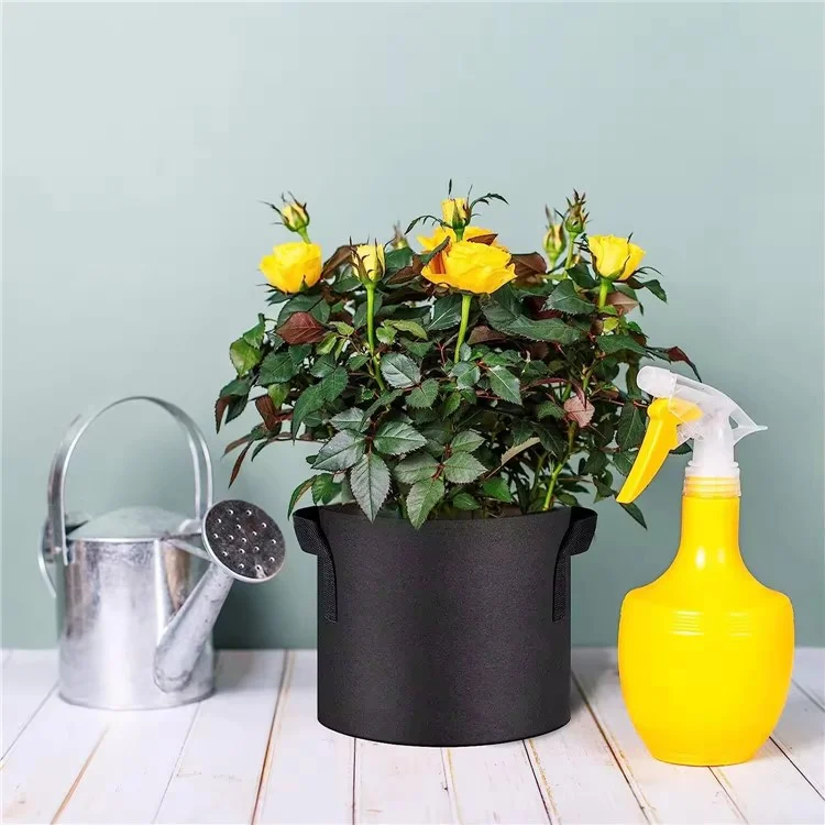 10 Peças de Sacos de Plantio de Feltro para Interiores e Exteriores de 40x30cm, Recipientes de Cultivo de 10 Galões com Alças Duplas - Preto
