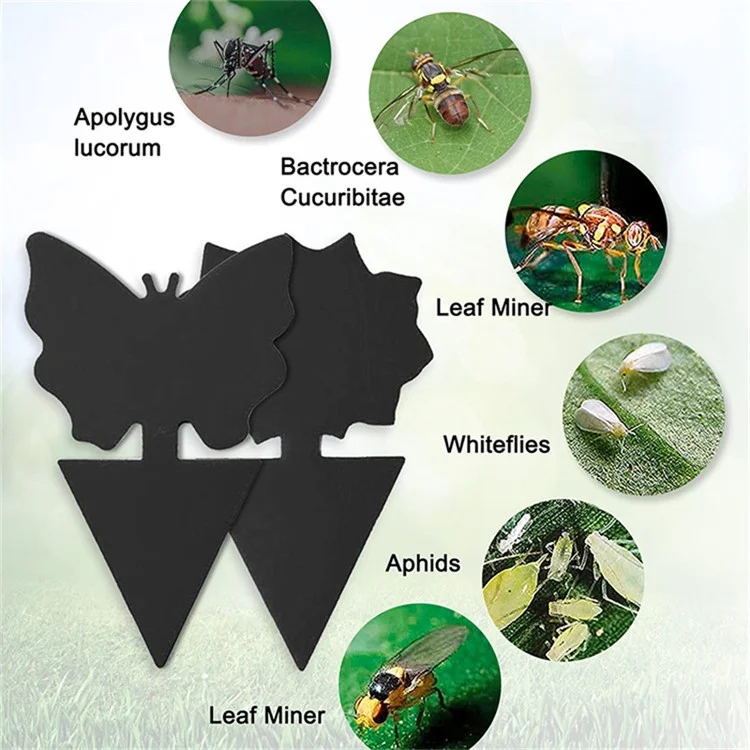 96Pcs / Set Non-Toxic Gnat Killer Fruit Fly Traps Fungus for Indoor Outdoor Whitefly Mosquitos Flying Insects Sticky Traps, Black
