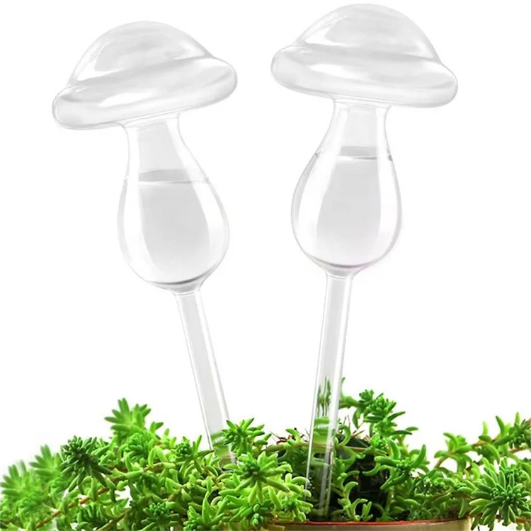 Dispositif d'Arrosage Automatique Automate Irrigation Plante Quand Parti En Vacances Voyage