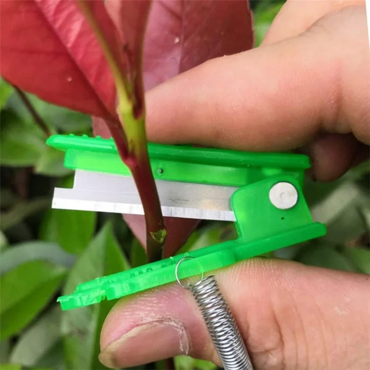 100Pcs Ferme Verger Couteau Pouce Jardin Taille-haies Récolte de Légumes et Fruits Coupeur - Vert 