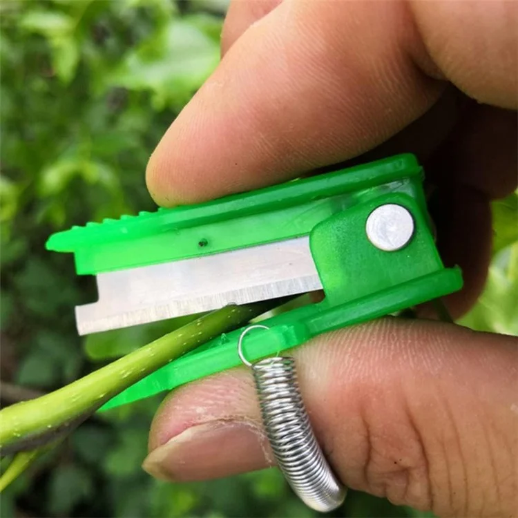 100Pcs Ferme Verger Couteau Pouce Jardin Taille-haies Récolte de Légumes et Fruits Coupeur - Vert 