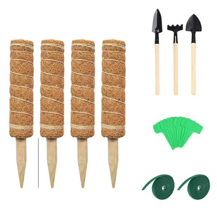 4 Pièces 30cm Tige d'escalade de plante Tige d'escalade de vigne de palmier de noix de coco Bâton de support de plante avec outils 