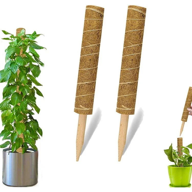 4 pièces 40 cm Tige de grimpante de palmier de coco Tige de support de plante grimpante avec outils