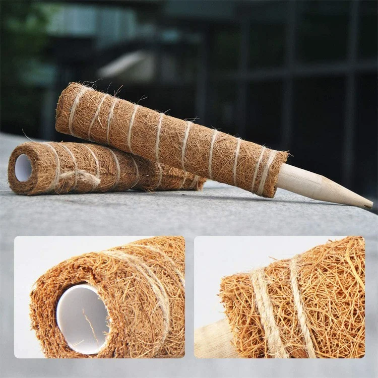 4 pièces 40 cm Tige de grimpante de palmier de coco Tige de support de plante grimpante avec outils