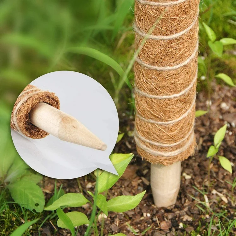 4 Pcs 50cm Garden Plant Support Stick Plant Climbing Rod Vine Climbing Coconut Palm Rod with Tools