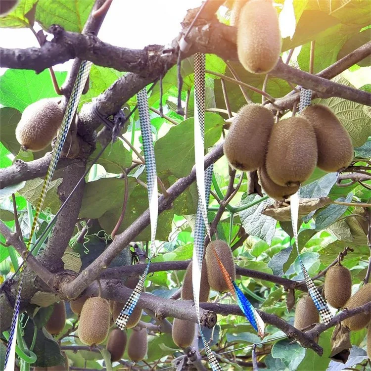 4,8cmx50m Fazenda na Fazenda de Jardim Fita Repelente de Pássaro Pet Dupla Fita de Susto de Pássaro Reflexivo - Grade Quadrada