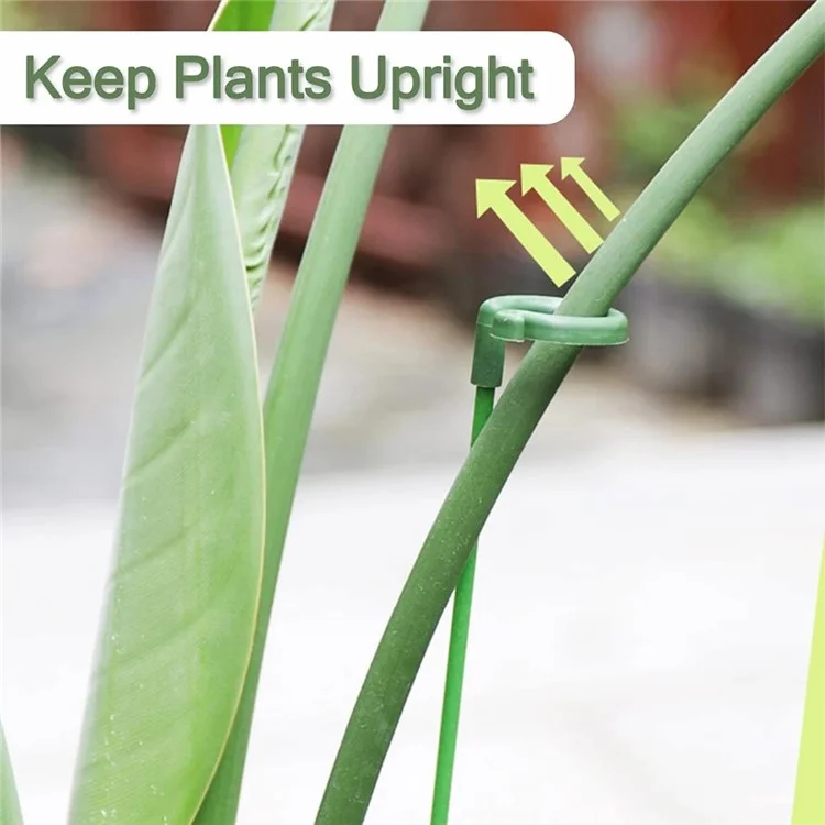 10 unidades Tutor de plantas de 17 cm de alto, de tallo único, jaula de planta de PP para flores, hierbas y hortalizas
