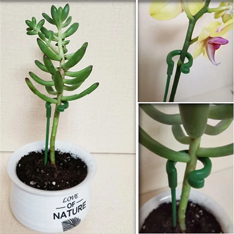 10 unidades Tutor de plantas de 17 cm de alto, de tallo único, jaula de planta de PP para flores, hierbas y hortalizas