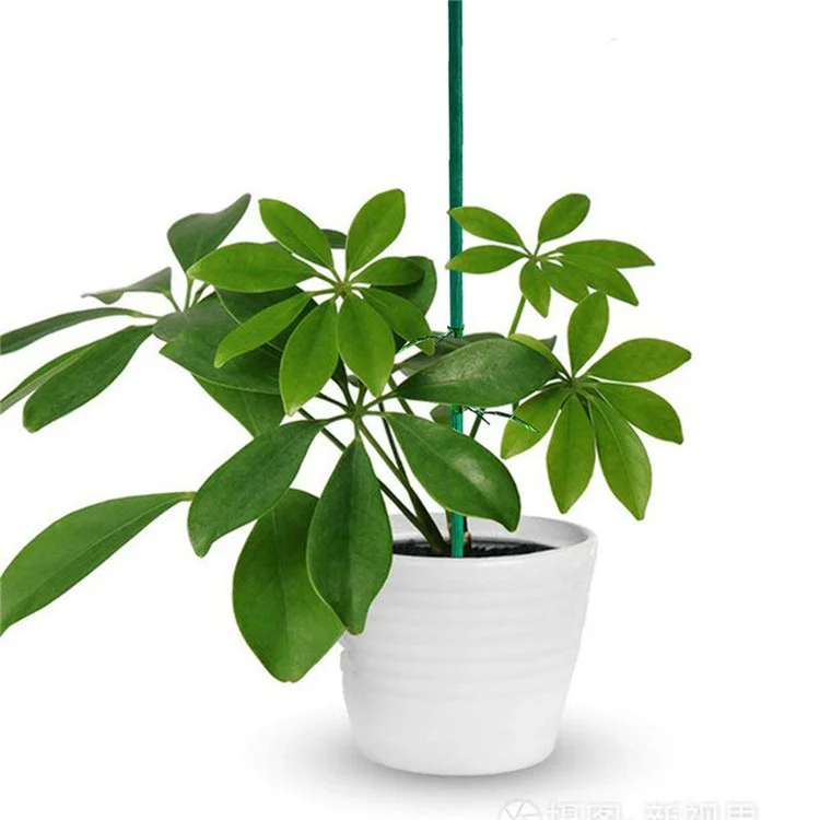 10 pièces de 40 cm de bambou Plantes Tuteurs Verts Jardin Fleurs Support Tiges