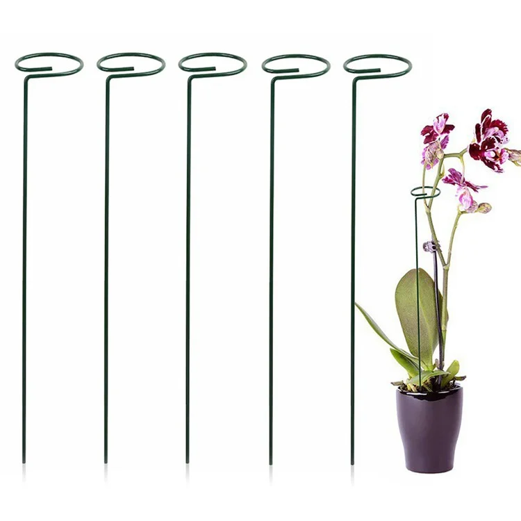 5 Piezas de 25 cm de Soporte Vegetal Garden Garden Anillo de Soporte de Metal de un Solo Vástago Para Plantas Trepadoras