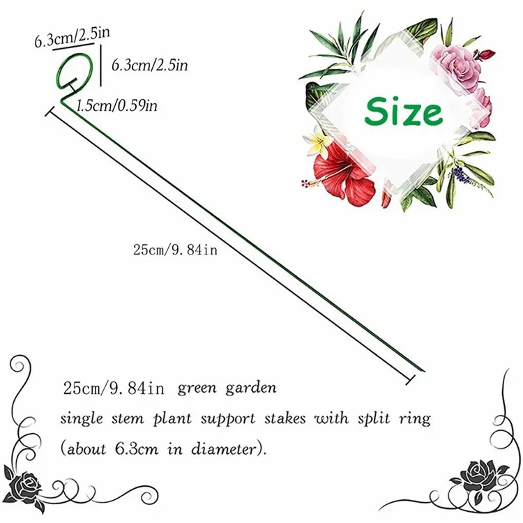 5 Piezas de 25 cm de Soporte Vegetal Garden Garden Anillo de Soporte de Metal de un Solo Vástago Para Plantas Trepadoras