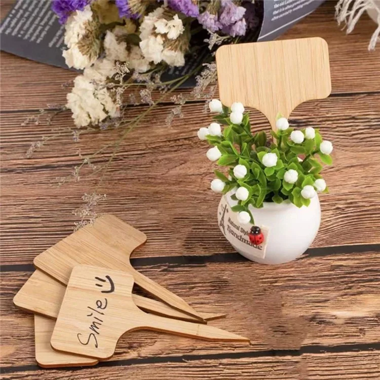 10Pcs Wooden Gardening Insert Labels Potted Bonsai Sign Tags Blank Label