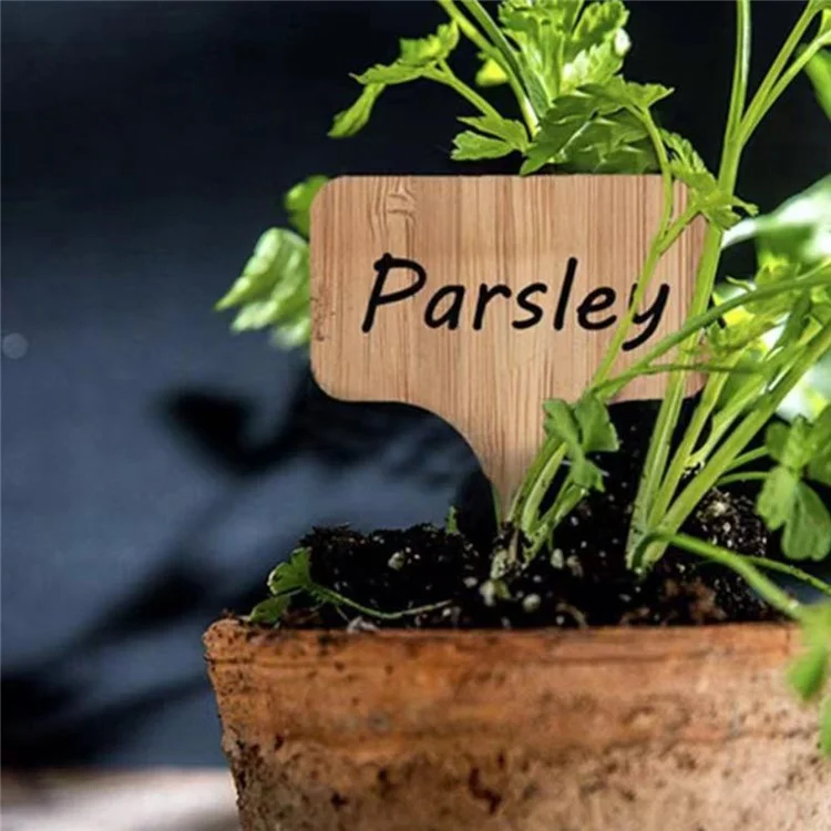 10 Peças Etiquetas de Inserção de Jardinagem de Madeira para Vasos de Bonsai, Tags Vazias