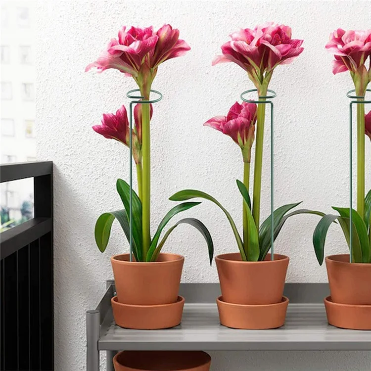 4 supports en métal pour plantes grimpantes, tige unique, 40 cm