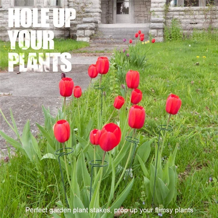 10 pièces 40 cm Support annulaire à tige unique pour plantes grimpantes de jardin Piquets en métal