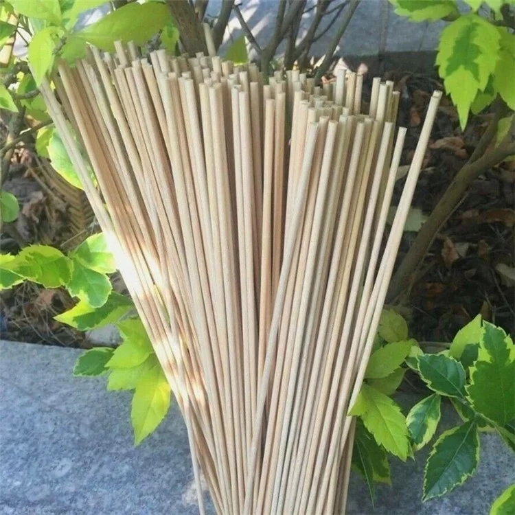50 Pcs de piquets de bambou de 40 cm pour le jardinage, le soutien floral des plantes, bambou naturel
