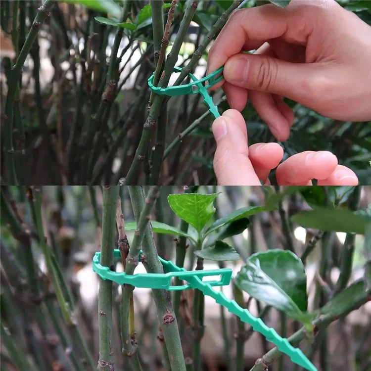 50Pcs 22cm PE+PP Green Garden Cable Ties Gardening Plant Ties Fixing Straps