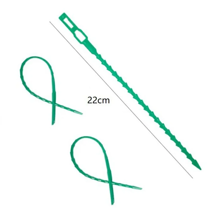 50 Peças 22cm PE+PP Verde Amarração de Cabo de Jardim Amarras de Plantas de Jardinagem Cintas de Fixação