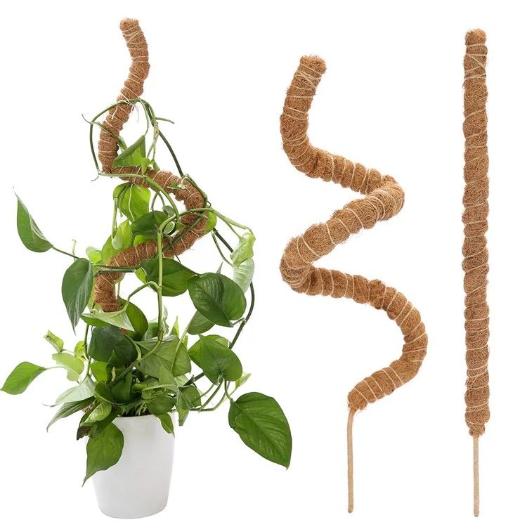 JM3030 50 cm Tige de support flexible pour plante Pothos Coco Coir 
