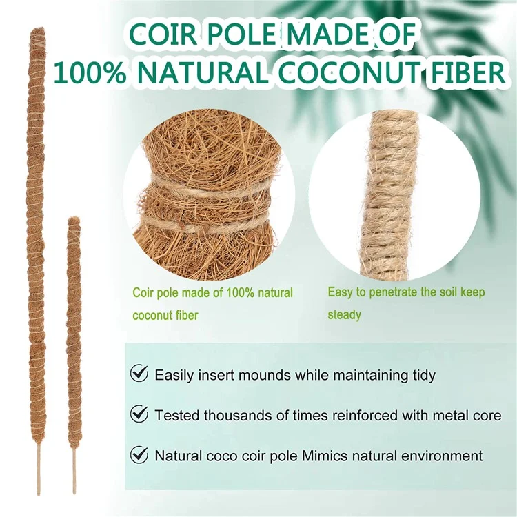 JM3030 50 cm Tige de support flexible pour plante Pothos Coco Coir 