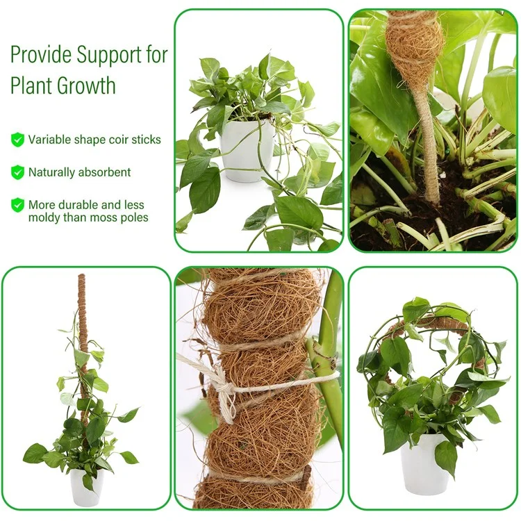 JM3030 50 cm Tige de support flexible pour plante Pothos Coco Coir 