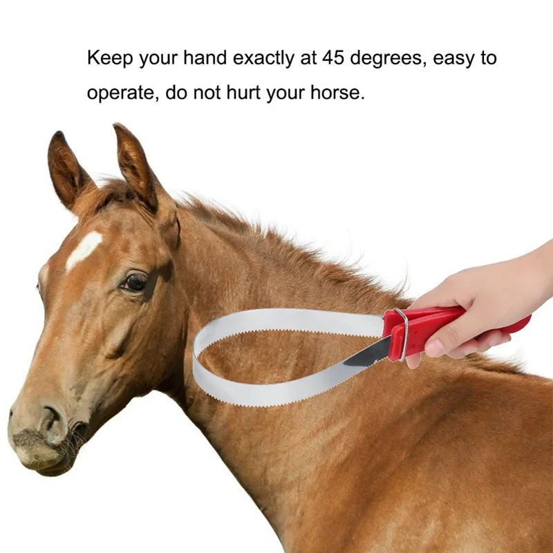 Raschietto in Acciaio Inossidabile per Sudore di Cavallo - Strumento di Toelettatura per Sollievo dal Prurito e Perdita di Pelo con Denti - Rosso