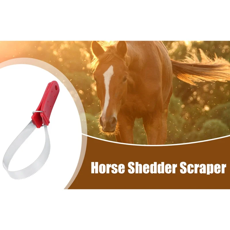 Raschietto in Acciaio Inossidabile per Sudore di Cavallo - Strumento di Toelettatura per Sollievo dal Prurito e Perdita di Pelo con Denti - Rosso