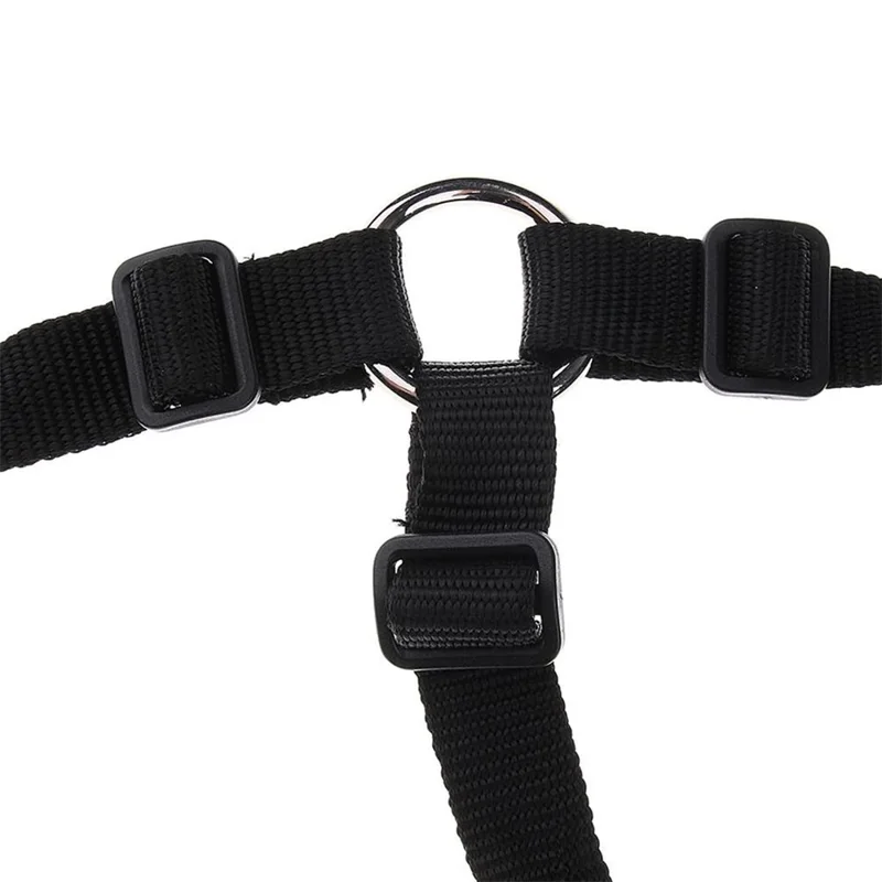 Bozal de Caballo Talla M de Webbing Grueso, Transpirable, Antimordeduras, Acolchado para Pastoreo - Negro