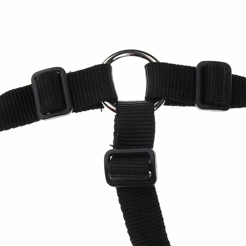 Bozal de Caballo Talla L de Malla Gruesa, Transpirable, Antimordeduras, Acolchado para Pastoreo - Negro