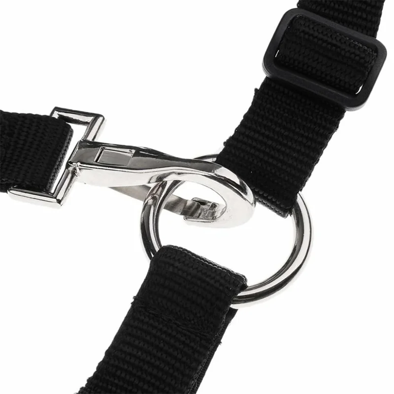 Bozal de Caballo Talla L de Malla Gruesa, Transpirable, Antimordeduras, Acolchado para Pastoreo - Negro
