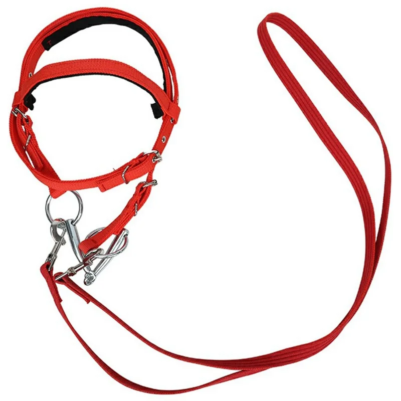 Pferde-Halfter-Seil Reitsport Kopfgeschirr 1,3m Nylon-Zügel für präzise Kontrolle