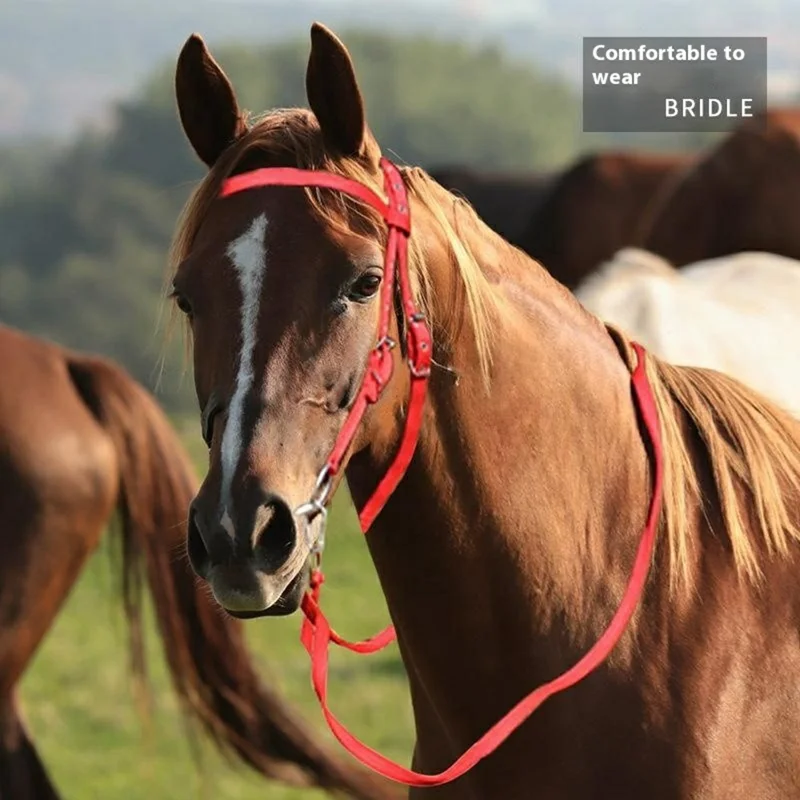 Pferde-Halfter-Seil Reitsport Kopfgeschirr 1,3m Nylon-Zügel für präzise Kontrolle