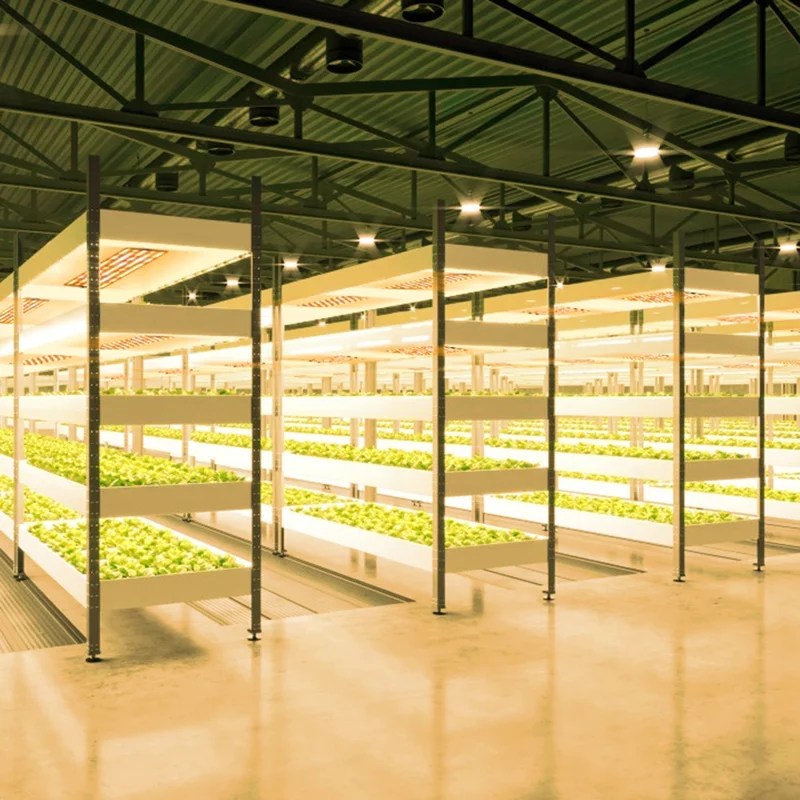 12V 3-Panel Plant Growing Light Plant Shelf Seedling Growth Fill Light, EU Plug - Warm Light