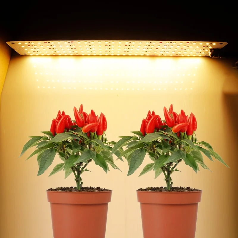 12V 3-Panel Plant Growing Light Plant Shelf Seedling Growth Fill Light, EU Plug - Warm Light