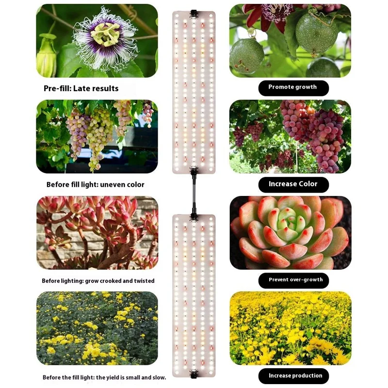 12V 2-Panel Plant Growing Light Potted Plants Shelf Seedling Growth Fill Light, EU Plug - Cold Light