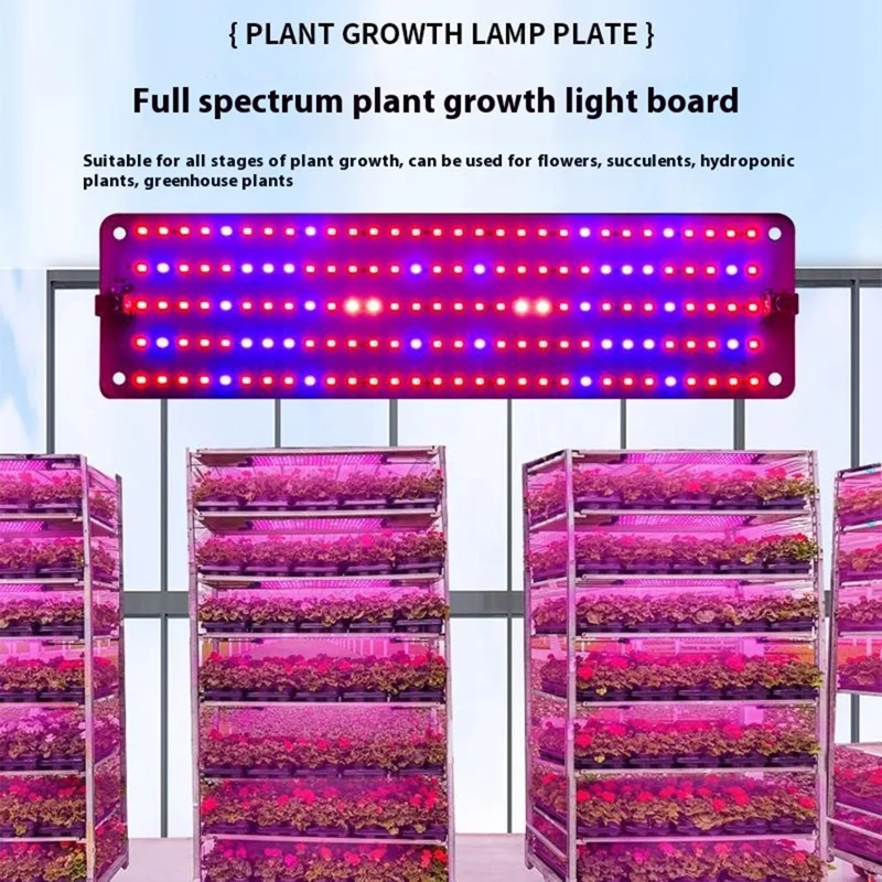 12V 2-Panel Plant Growing Light Potted Plants Shelf Seedling Growth Fill Light, EU Plug - Cold Light