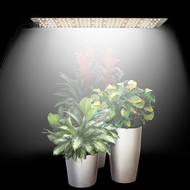 12V Plant Growing Lamp Potted Plants Shelf Light Bonsai Seedling Growth Fill Light, EU Plug - Red+Blue Light