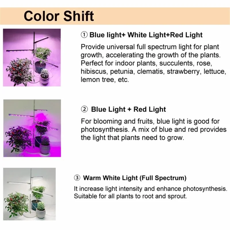 XYM-Grow Light(4000+RB)-TX-WX 10W Indoor Succulent Plant Vegetable Fruit Growth Lamp Full Spectrum Plant Light Bar - Spina USA