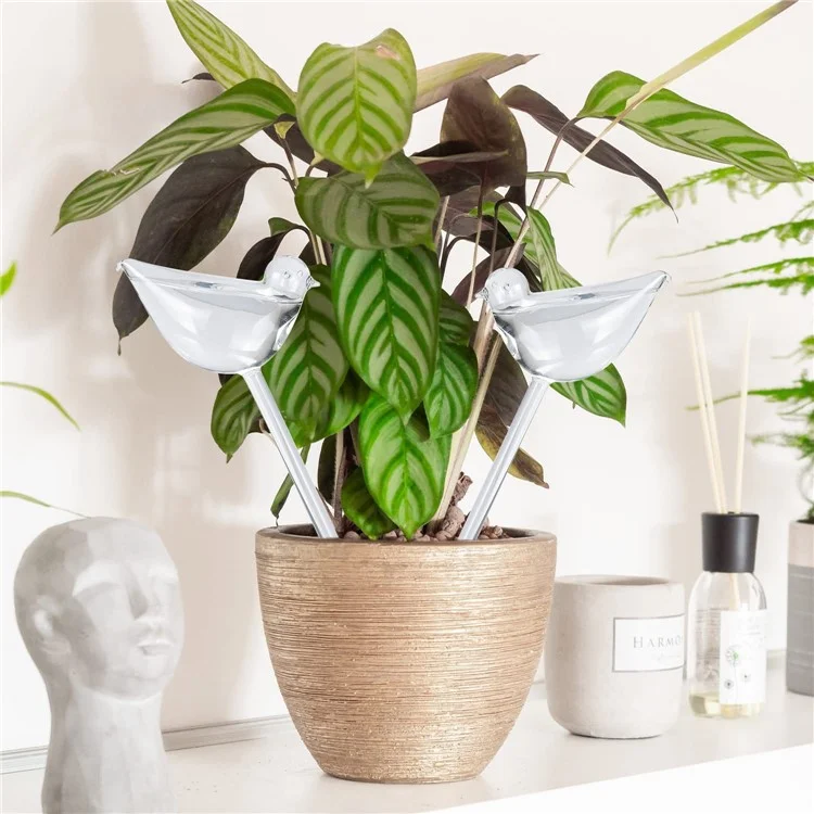 5Pcs Distributeur d'eau en forme d'oiseau de 90ml, Système d'irrigation au goutte-à-goutte en PVC, Dispositif d'arrosage automatique, Taille L - Transparent