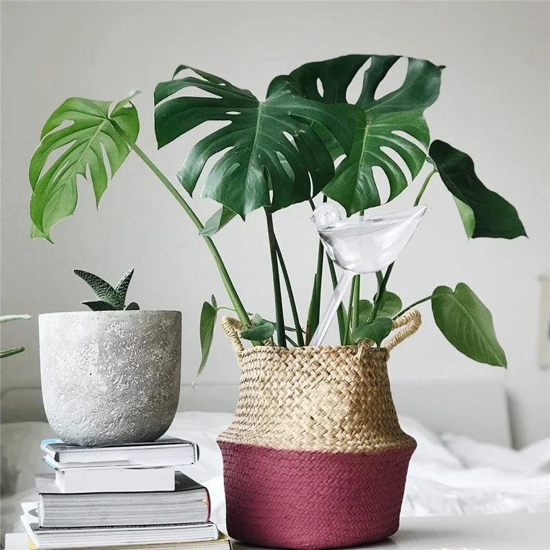 90ml Bird Shape Auto Plant Watering Device PVC Self-Watering Spikes for Indoor / Outdoor Plants - Transparent