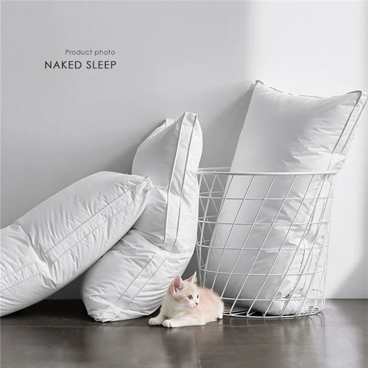 48x74cm Throw Pillow Insert Pure Cotton Cover High Pillow Polyester Stuffer Cushion 1000g