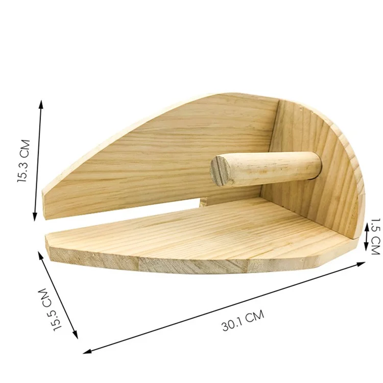 Scoop de Récolte de Groseille de Groseille de Groseille Avec Poignée Ergonomique Pour Les Baies de Grand Calibre