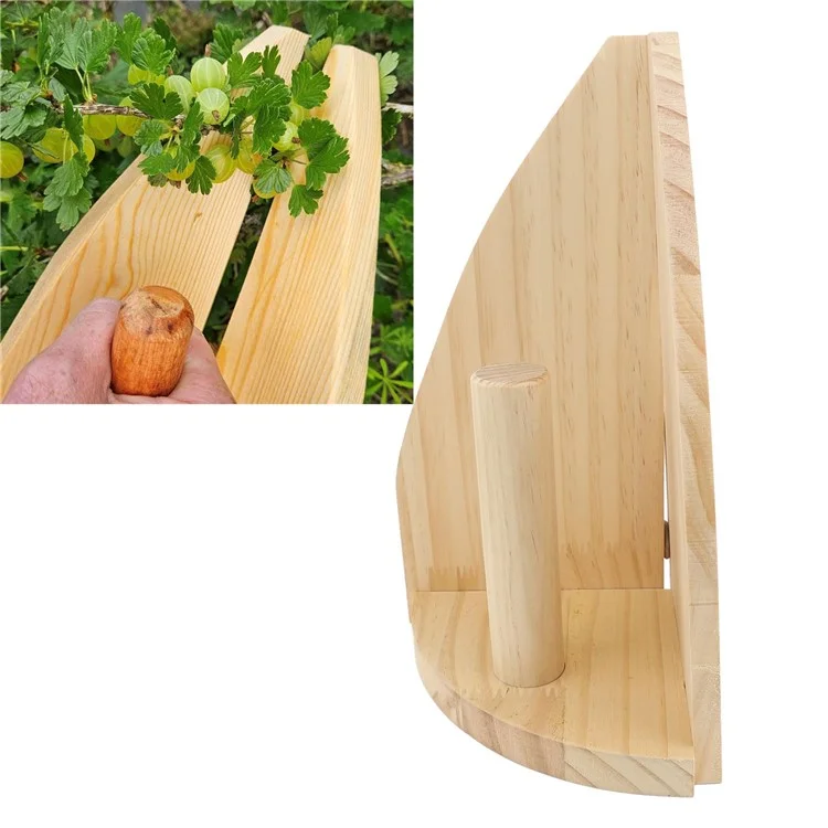 Scoop de Récolte de Groseille de Groseille de Groseille Avec Poignée Ergonomique Pour Les Baies de Grand Calibre