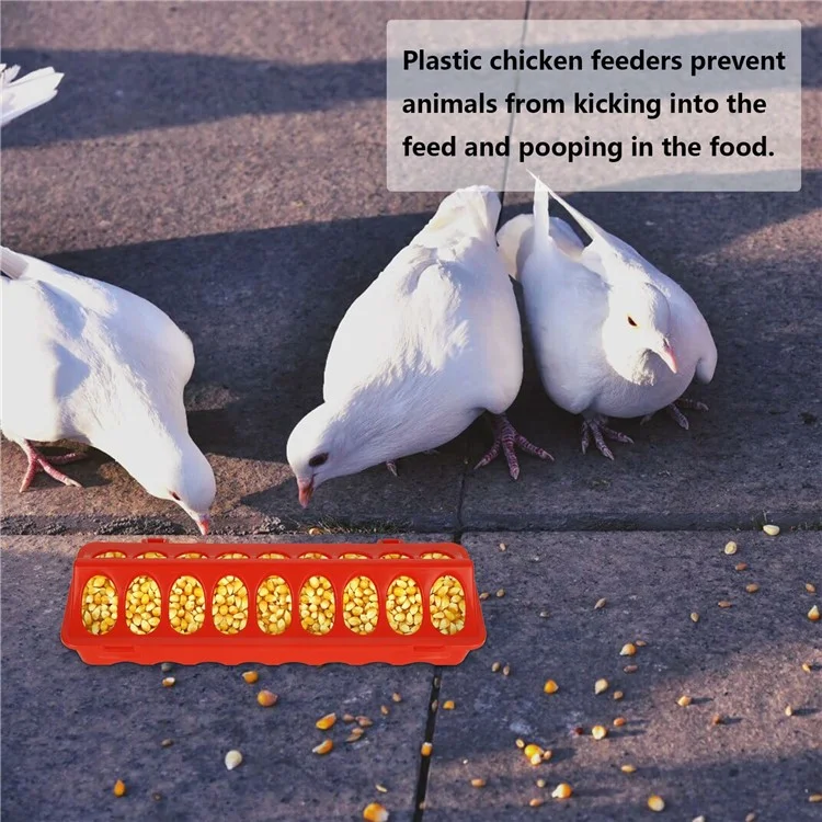 Comedouro de Aves com Tampa Basculante, 18 Orifícios, Bandeja de Alimentação de Plástico para Galinha, Pato e Pássaro
