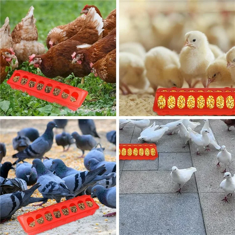 Comedouro de Aves com Tampa Basculante, 18 Orifícios, Bandeja de Alimentação de Plástico para Galinha, Pato e Pássaro