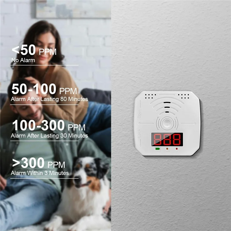 Portable CO Detector Carbon Monoxide Alarm 85dB Alert Digital Display Travel RV Camping Home Use