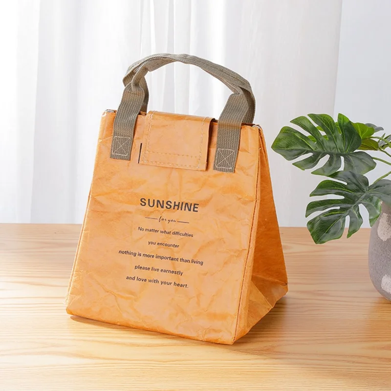 Bolsa Térmica Grande Capacidade para Almoço - Trabalho Escola Marmita Térmica Transportadora - Marrom