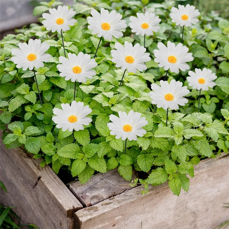 G329 Set da 10 Pezzi di Paletti Decorativi a Forma di Margherita per Giardino, Cortile e Patio