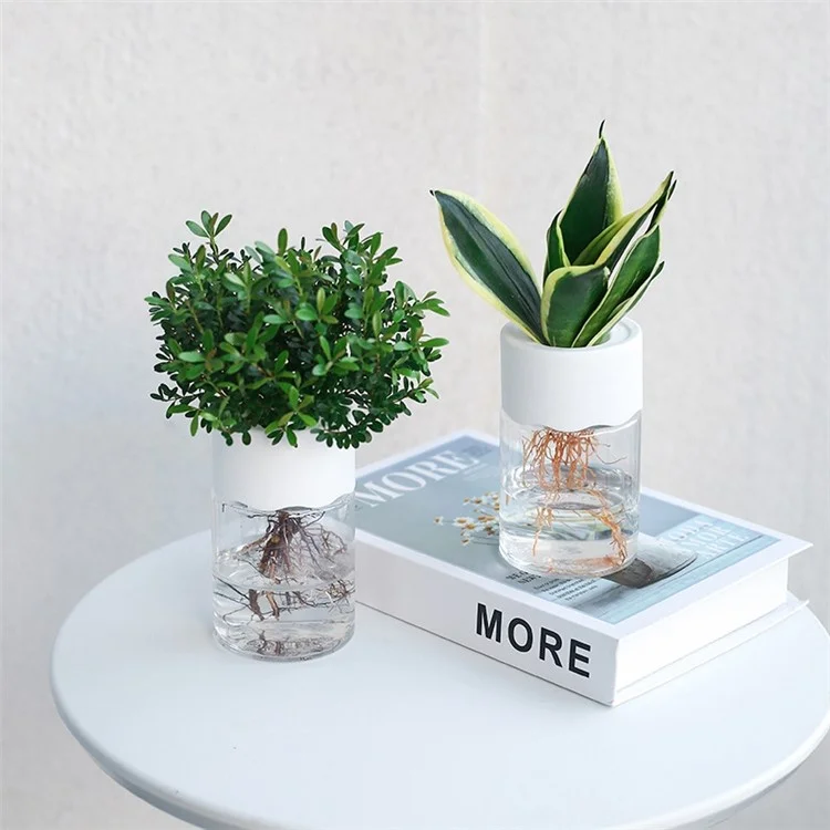 Plantador de Hidroponia Plantador de Mesa de Flores Plástica Plástica Estação de Propagação de Mesa Para Casa Para a Mesa de Escritório em Casa - Branco